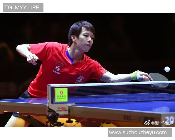 重庆羽毛球队勇攀高峰的奋斗历程与冠军赛精彩回顾