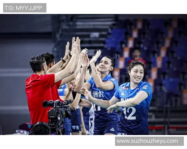 深圳排球队实力强劲排球个人能力排行榜揭晓第4名位置