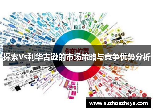 探索Vs利华古逊的市场策略与竞争优势分析